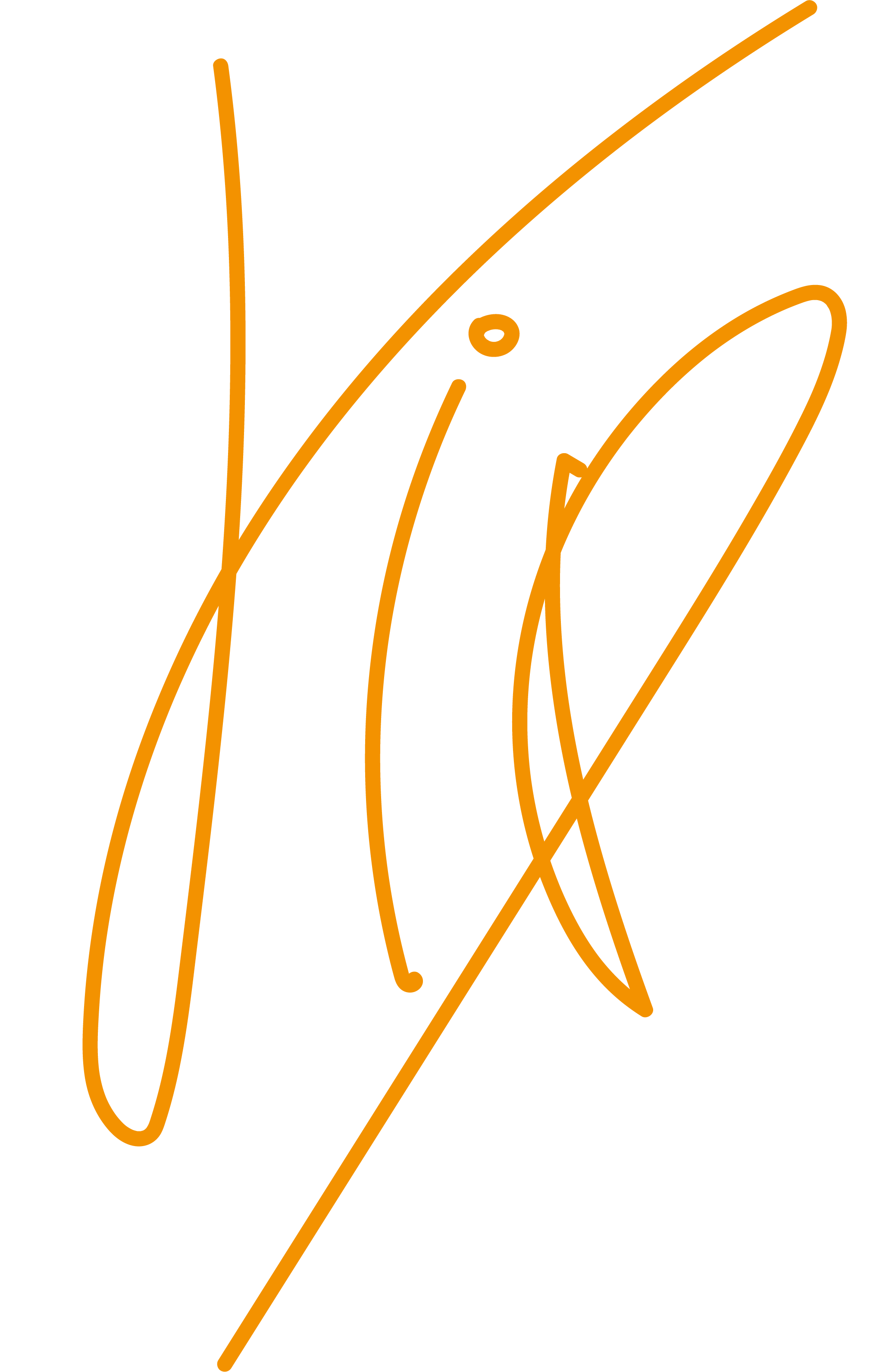VIP Logo